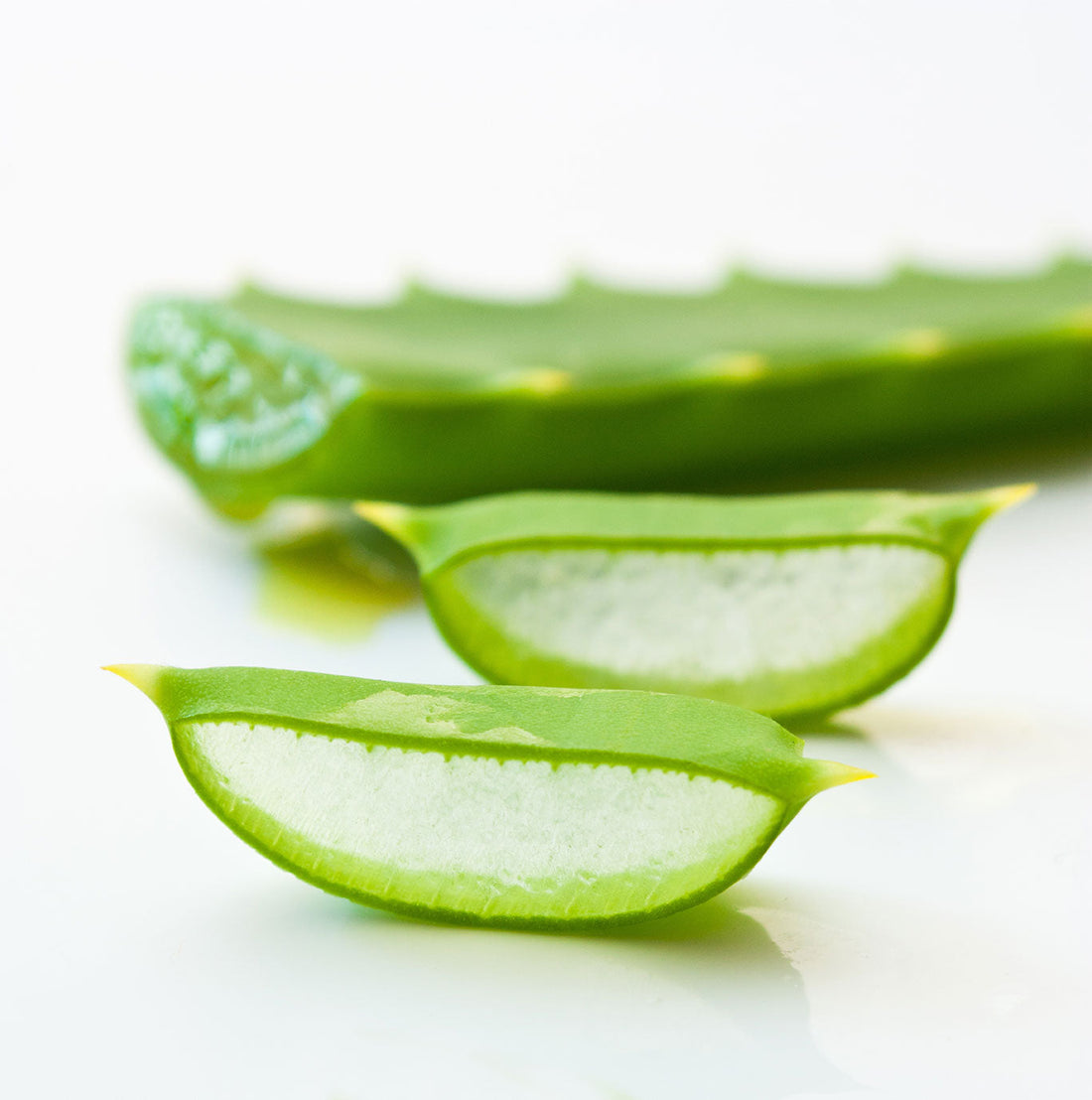 Il gel di Aloe Vera infatti ha una azione antinfiammatoria, cicatrizzante ed analgesica, mentre il succo ha proprietà lassative.